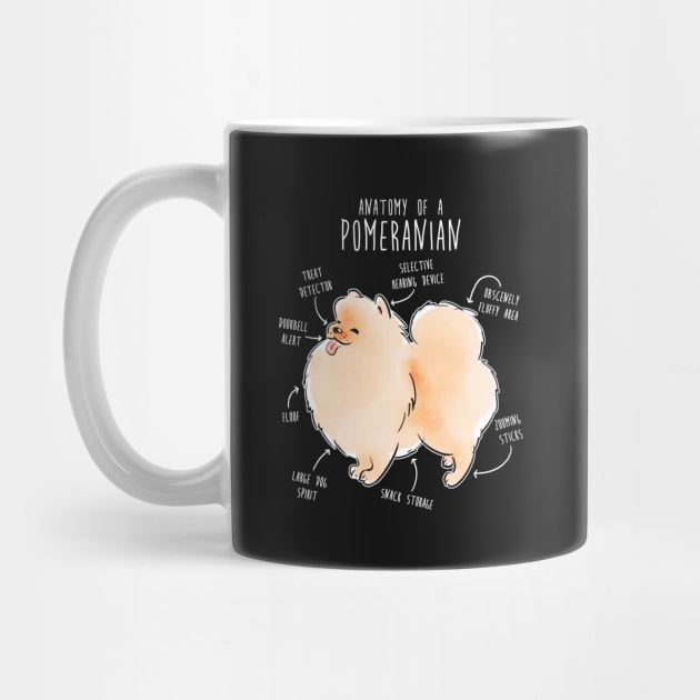 Pomeranian Anatomy by Psitta